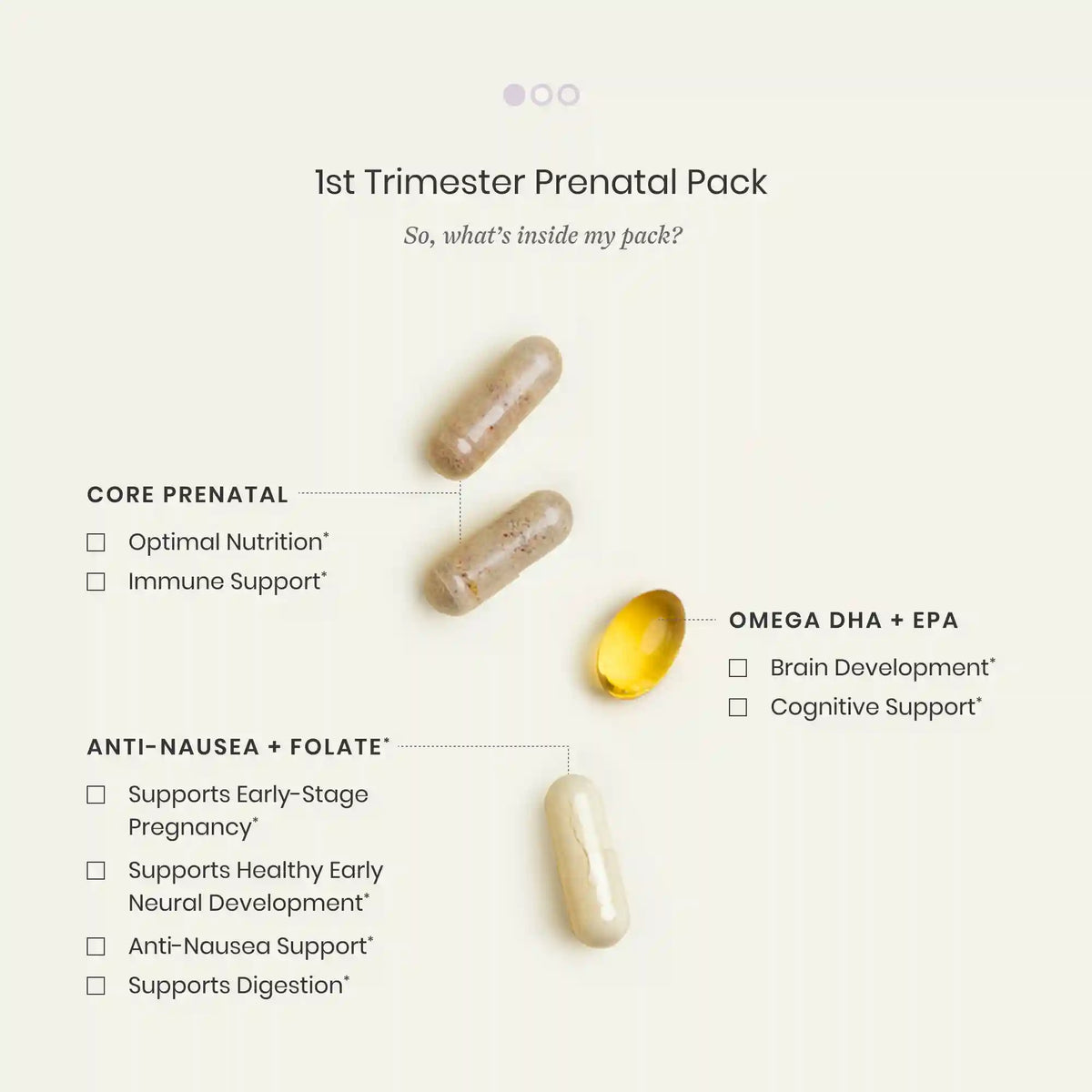 Early Pregnancy Support Bundle
